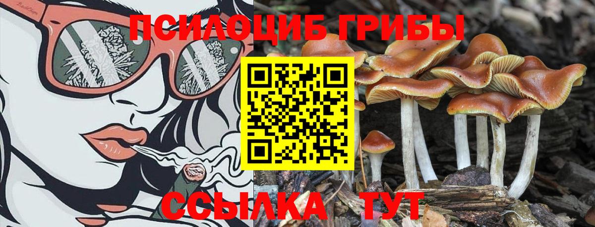 COCAIN Людиново