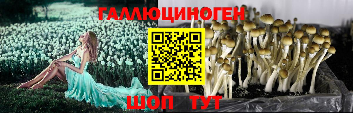 Людиново  купить наркотик  Вход с VPN  Псилоцибиновые грибы мухоморы 
